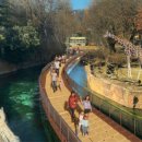 에버랜드 이미지