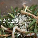 이대로오리 이미지