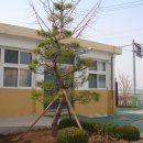 우암초등학교급식소
