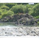 녹전시장 이미지