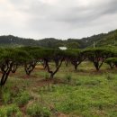 개운리농장 이미지