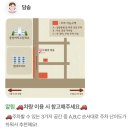 담솜