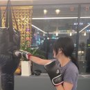 알파복싱