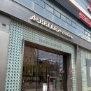 성원바이오 | 🕊️ 드벨르마리에 :: 강경실크파의 미카도실크, 오간자실크 드레스 피팅 후기 (켈리손윤희, 시작바이이명순)