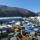 광역자동차해체재활용산업 | 대구지역에 위치한 폐차장 전화번호 및 위치 정보(조기폐차, 압류폐차 조건)