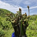 금당목장 이미지