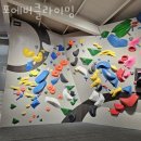 망포동 28-6~망포동 255-2 | 수원 망포동 클라이밍 포에버클라이밍 업체 정보 후기