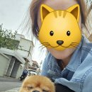 저도 해봤어요 누끼따기!🐶🐱 이미지