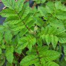 황금행정사사무소 이미지