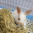 매산리 538 이미지