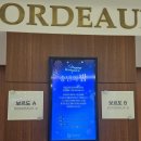 밝은미래안과 | [호텔 송년회 전문가] 여성 직원이 많은 기업의 고민 해소! 강요 없는 '섬세한 레크레이션'의 정석