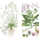 강원특별자치도산림박물관 이미지