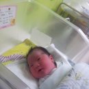 태현이네 이미지