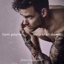 Liam Payne Feat. Quavo (리암 페인 &amp; 콰보) Strip That Down 이미지