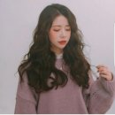 메종드퍼피 이미지