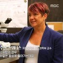 스페셜독 이미지