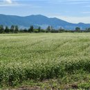 낙동강관리본부 화명생태공원 3 이미지