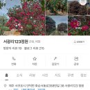 서광리-8 이미지