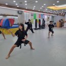 수원특공무술