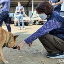 광석1리 뉴스1