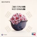광주전남재향군인회 | 2025년 6.25 75주년 전쟁 기념식 - 전국 지자체 및 단체별 행사 현황