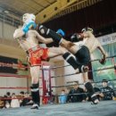 베스트 태권도 이미지