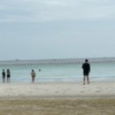 리썬헬스크럽 | [하나투어 방콕 파타야 패키지 여행]_3일차 : 태국에 떵개가 출몰을 햇엇슨 | 25.7.1~25.7.5