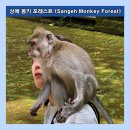 몽키