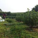 해덕농장 이미지