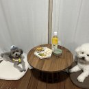 오해피댕 이미지