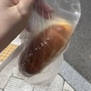 (상)질문의 힘 초등 독서 토론 | 나의 여름, 토론 (1탄) _with 숙명독서토론대회 금상🏆