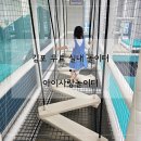 인형 놀이터 | 김포 아이와 가볼만한곳 | 김포시민 무료 아이사랑놀이터 북부분소 후기