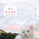 야옹서가