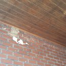 덕산장모텔 이미지