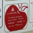 충주 제천 청풍호 모노레일, 케이블카 근처 맛집 사과나무집 내돈내산 후기