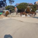 건강에좋고 대지 넓은 소소한 농사를 할수 있는 김포 황토주택을 소개해드립니다. ▶부동산 주소: 경기도 김포시 하성면 양택리 *부동산 종 이미지