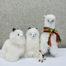 바라또 이미지