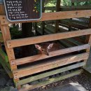 데구르르 이미지