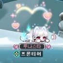 셀린헤어