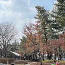 하계어린이공원 이미지