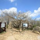 예술마을 705 이미지