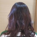 집고춘천 이미지