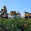 제주도작은집 작은별 이미지