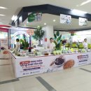 충남수산 국민일보