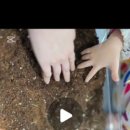 연일 초등학교 병설유치원 이미지