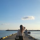 대하목장 이미지