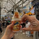 상미유통(중앙시장내) | [속초 중앙시장] 속초 중앙시장 먹거리 / 만석닭강정, 술빵, 아이스크림, 오징어순대 후기