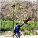 해동검도 장전본관 이미지