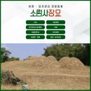 소림사장묘