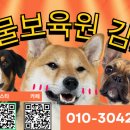 동물보육원 부천지부 네이버블로그